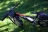 Велогибрид BENELLI FAT NERONE