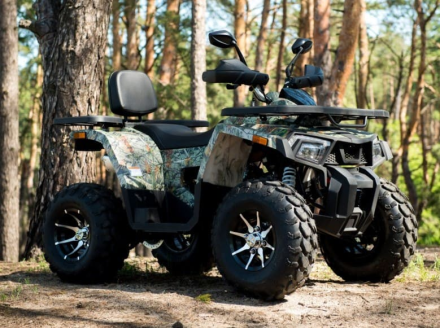 Квадроцикл YAMAHA Shark 300cc, фото 3