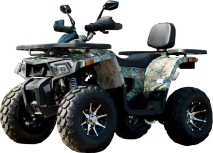 Квадроцикл YAMAHA Shark 300cc, фото 1