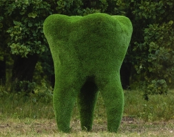 Топиари зуб - газон Eco, фото 1