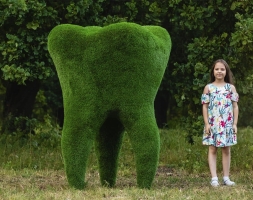 Топиари зуб - газон Eco, фото 2