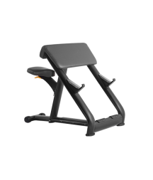 BRONZE GYM H-040A_B Скамья Скотта
