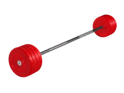 Штанга неразборная &quot;Barbell&quot; с цветными дисками d 25 мм, 45 кг