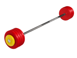 Штанга неразборная &quot;Barbell&quot; с цветными дисками d 25 мм, 47,5 кг
