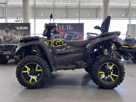 Квадроцикл TGB Blade 600 LTX EPS Premium (ПСМ), фото 6