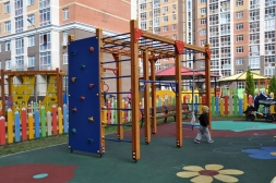 Спортивный комплекс 09019.21 для детской спортивной площадки, фото 3