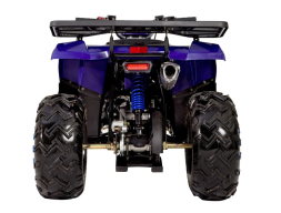 Квадроцикл SHARMAX 240CC Cross, фото 6