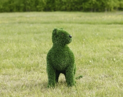 Топиари кошка Клара - газон Eco, фото 4