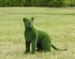 Топиари кошка Клара - газон Eco, фото 2