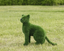 Топиари кошка Клара - газон Eco, фото 1