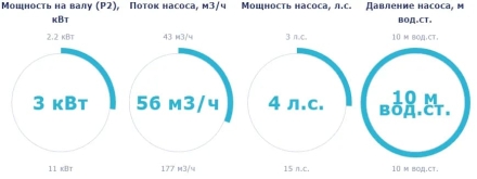 Насос с префильтром Saci Pumps CF-4 400, фото 2