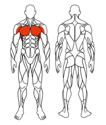 Бабочка (красный) - Уличный тренажер - СТ 028-11.И1, фото 6