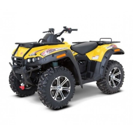 Квадроцикл Русская Механика РМ 650, фото 2