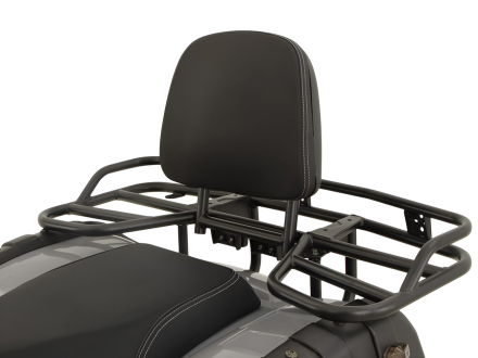 Квадроцикл GRIZZLY 200 Premium, фото 6