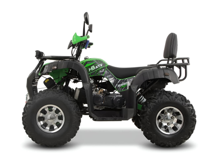 Квадроцикл GRIZZLY 200 Premium, фото 5