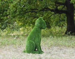 Топиари кошка Сметанка - газон Eco, фото 3