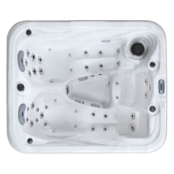 Мини спа-бассейн Allseas Spas DS 101, фото 1