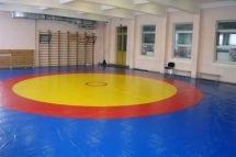 Ковер борцовский трехцветный, наполнитель матов НПЭ 120кг/м3, толщина 5см., размер 10х10м