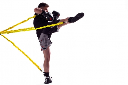 Тренировочная Система SPR Long Pancher, фото 3