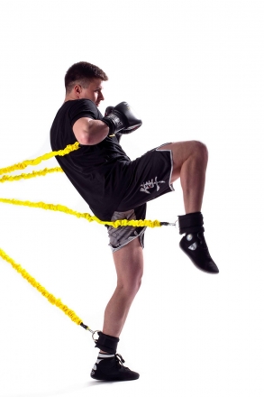 Тренировочная Система SPR Long Pancher, фото 4