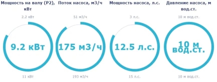 Насос с префильтром Saci Pumps CF-2 1250, фото 2