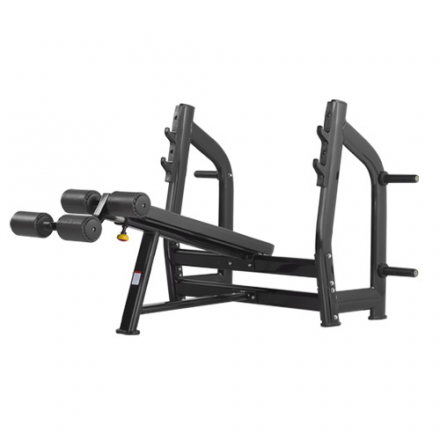 BRONZE GYM H-024_B Скамья для жима с отрицательным наклоном, фото 1