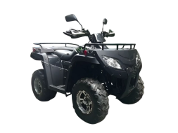 Квадроцикл RATO RT250ST Premium, фото 2