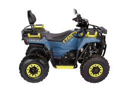 Квадроцикл AVANTIS Ray 200, фото 2 Квадроцикл AVANTIS Ray 200, фото 2