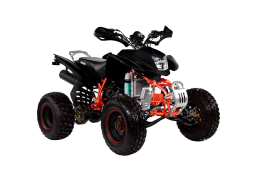 Квадроцикл IRBIS ATV250S, фото 3 Квадроцикл IRBIS ATV250S, фото 3
