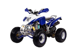 Квадроцикл IRBIS ATV250S, фото 1 Квадроцикл IRBIS ATV250S, фото 1