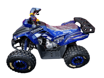 Квадроцикл MOTOLAND 125 Coyote Pro, фото 4