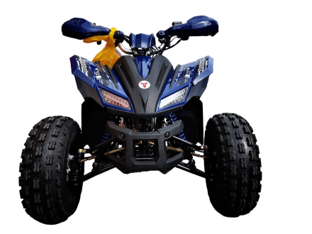 Квадроцикл MOTOLAND 125 Coyote Pro, фото 2