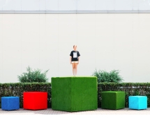 Топиари композиция геометрические фигуры Две пирамиды - газон Eco Топиари композиция геометрические фигуры Две пирамиды - газон Eco