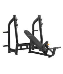BRONZE GYM H-025_C Скамья для жима наклонная(Черный)