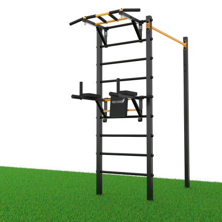 Уличный турник + шведская стенка с турником-брусьями и скамьей Record R3W-1 профиль 60х60 х 2 мм, фото 2