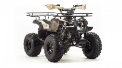 Квадроцикл MOTOLAND 125 Fox, фото 3