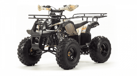 Квадроцикл MOTOLAND 125 Fox, фото 1