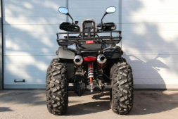 Квадроцикл GRIZZLY 250, фото 4