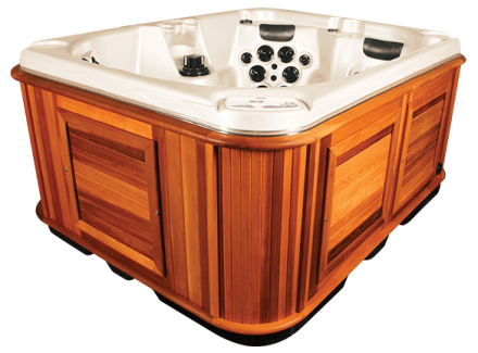 Мини спа-бассейн Arctic Spa Fox SIGNATURE, фото 2