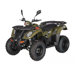 Квадроцикл KAYO AU300 EFI ПТС, фото 1