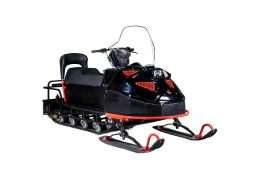 Снегоход БТС Arctic 4Т New Лонг-Люкс 20 л.с., фото 1