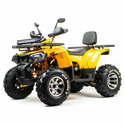 Квадроцикл подростковый MotoLand ATV 200 WILD TRAСK X PRO, фото 2