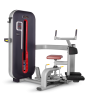 Изображение товара BRONZE GYM MT-011_C Торс-машина