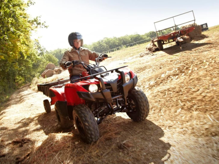 Квадроцикл YAMAHA Segway 300, фото 3