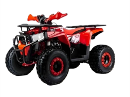 Квадроцикл MOTOLAND Shark 125