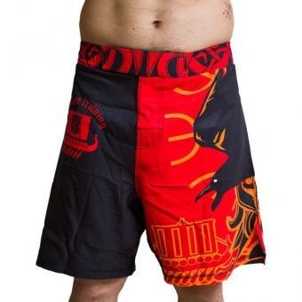 Шорты Hardcore Training hctshorts01, фото 1