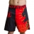Шорты Hardcore Training hctshorts01