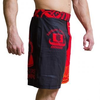 Шорты Hardcore Training hctshorts01, фото 3