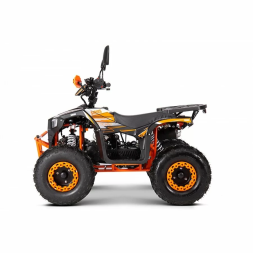 Квадроцикл YACOTA SIRIUS 110, фото 7