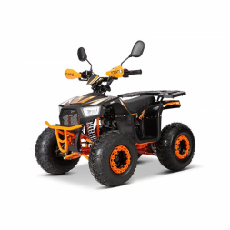 Квадроцикл YACOTA SIRIUS 110, фото 6